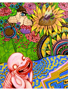 Don't Let Reality Stop You